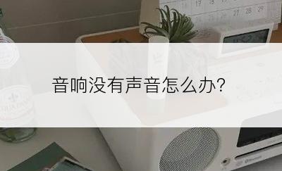 音响没有声音怎么办？