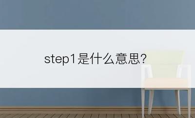 step1是什么意思？