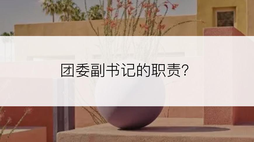 团委副书记的职责？