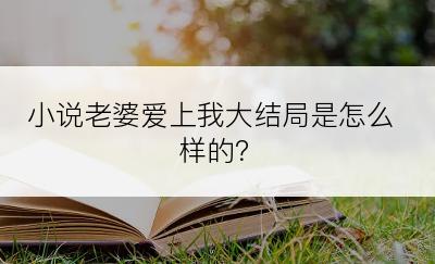 小说老婆爱上我大结局是怎么样的？