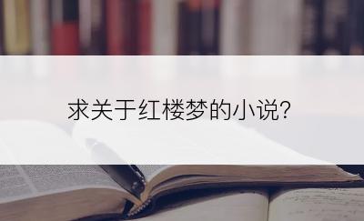 求关于红楼梦的小说？