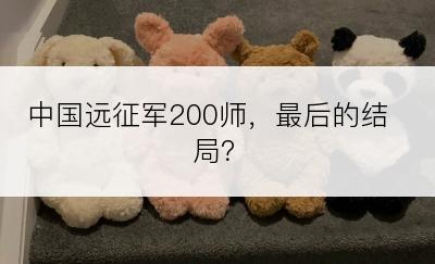 中国远征军200师，最后的结局？