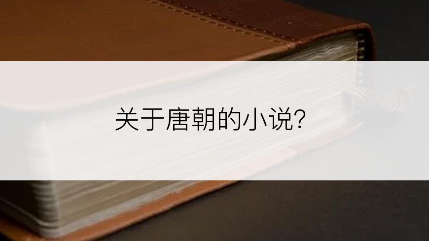 关于唐朝的小说？