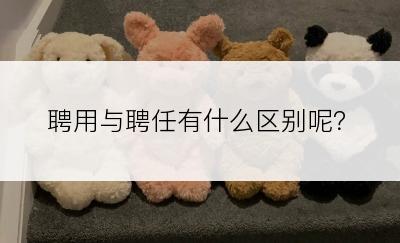 聘用与聘任有什么区别呢？