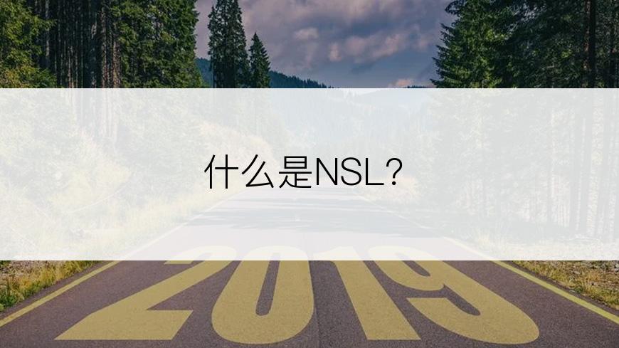 什么是NSL？