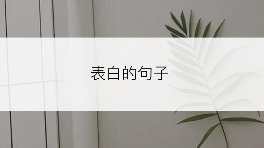 表白的句子