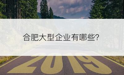 合肥大型企业有哪些？