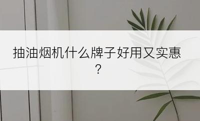 抽油烟机什么牌子好用又实惠？