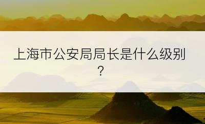 上海市公安局局长是什么级别？