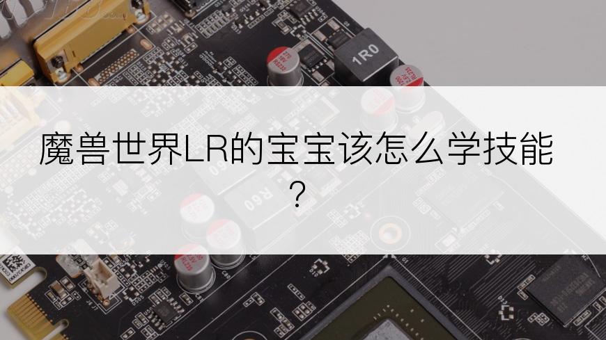 魔兽世界LR的宝宝该怎么学技能?