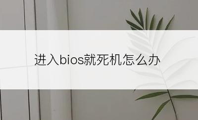 进入bios就死机怎么办