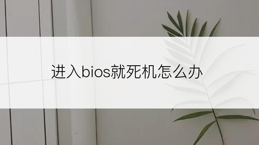 进入bios就死机怎么办