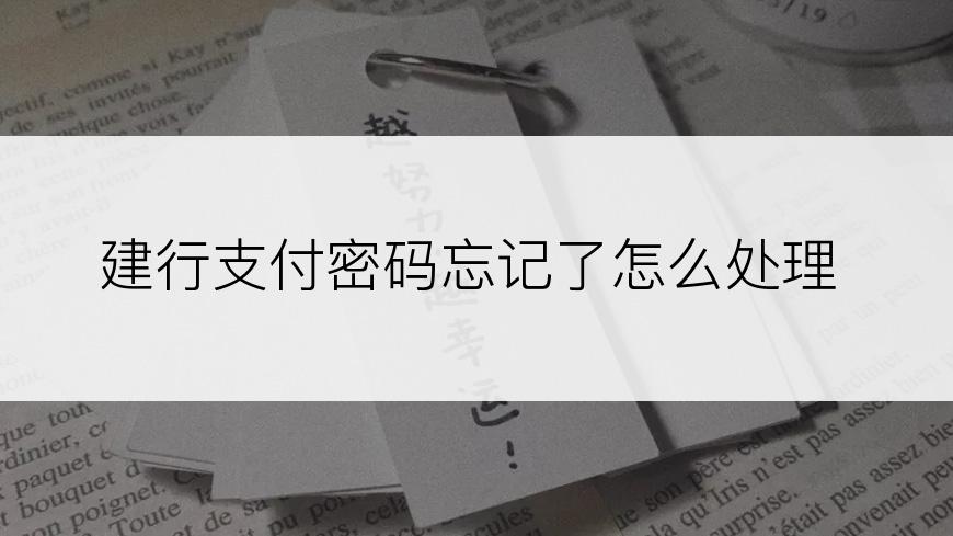 建行支付密码忘记了怎么处理