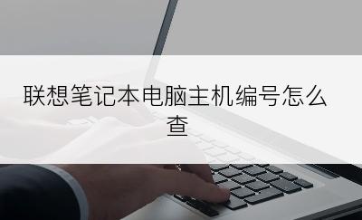 联想笔记本电脑主机编号怎么查