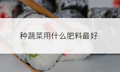 种蔬菜用什么肥料最好