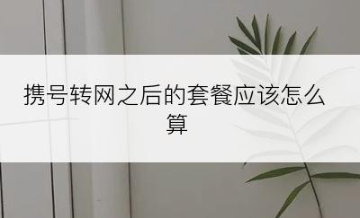 携号转网之后的套餐应该怎么算