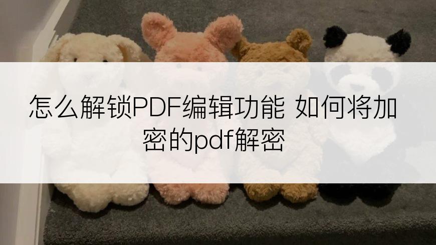 怎么解锁PDF编辑功能 如何将加密的pdf解密