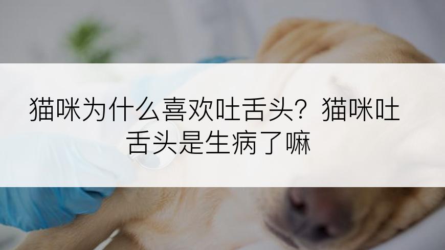 猫咪为什么喜欢吐舌头？猫咪吐舌头是生病了嘛