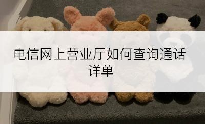 电信网上营业厅如何查询通话详单