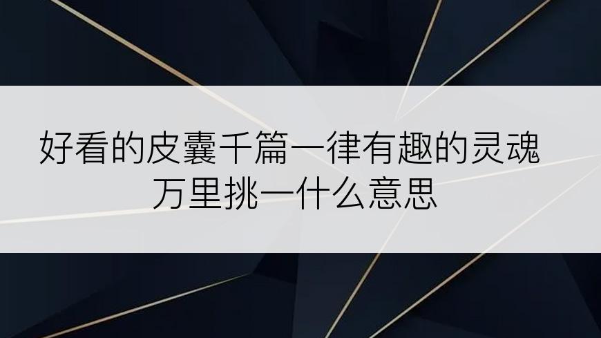 好看的皮囊千篇一律有趣的灵魂万里挑一什么意思