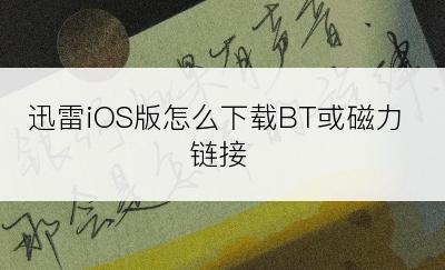 迅雷iOS版怎么下载BT或磁力链接