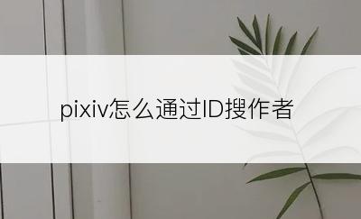 pixiv怎么通过ID搜作者