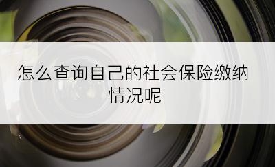 怎么查询自己的社会保险缴纳情况呢