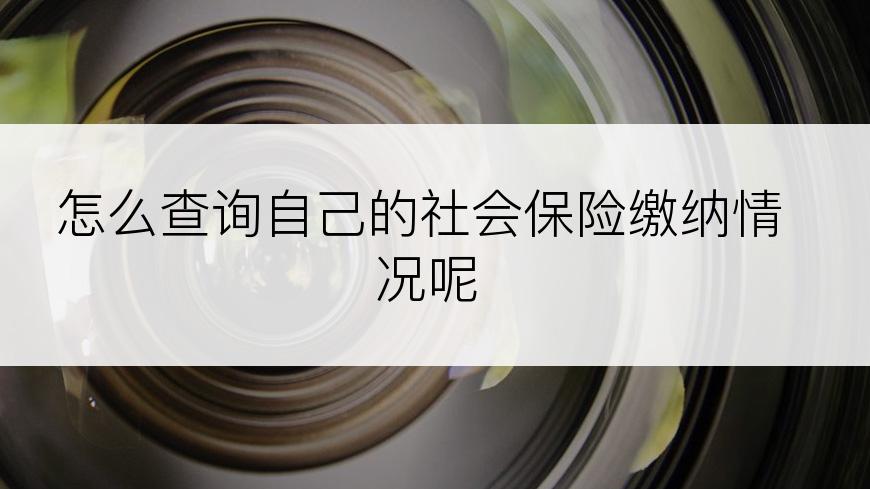 怎么查询自己的社会保险缴纳情况呢