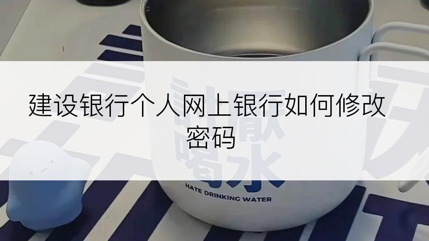 建设银行个人网上银行如何修改密码