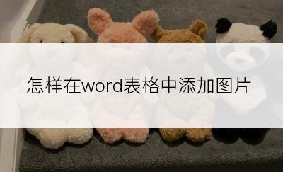 怎样在word表格中添加图片