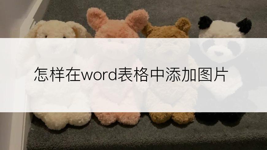 怎样在word表格中添加图片