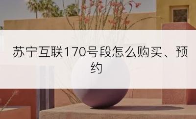 苏宁互联170号段怎么购买、预约