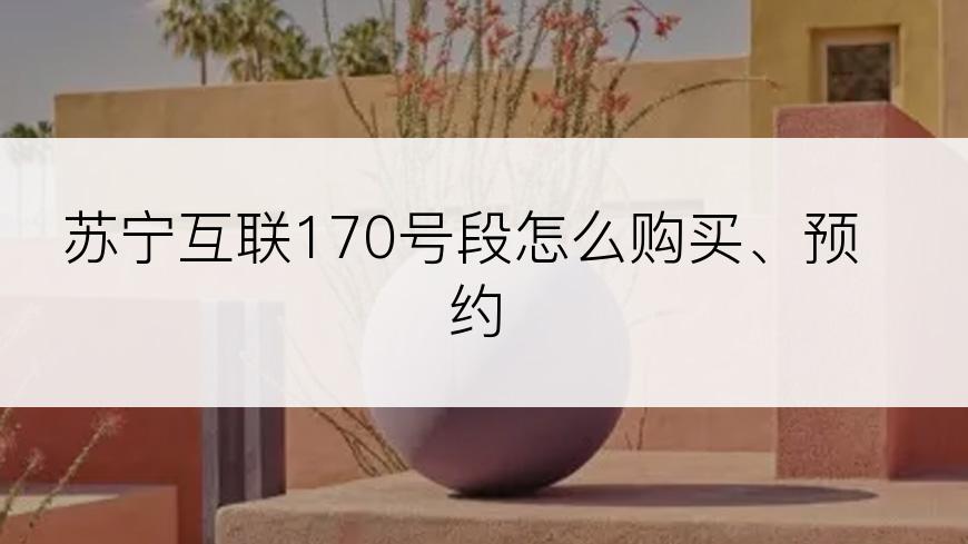 苏宁互联170号段怎么购买、预约