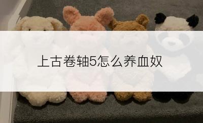 上古卷轴5怎么养血奴