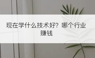 现在学什么技术好？哪个行业赚钱