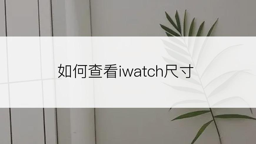 如何查看iwatch尺寸