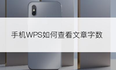 手机WPS如何查看文章字数