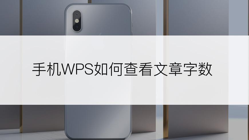 手机WPS如何查看文章字数