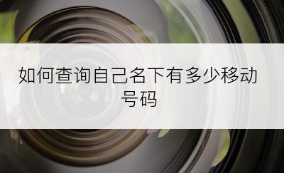 如何查询自己名下有多少移动号码