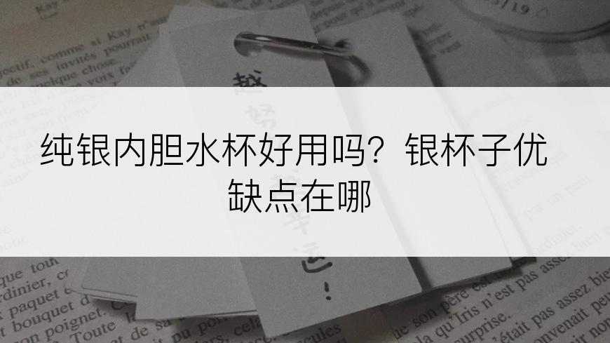 纯银内胆水杯好用吗？银杯子优缺点在哪