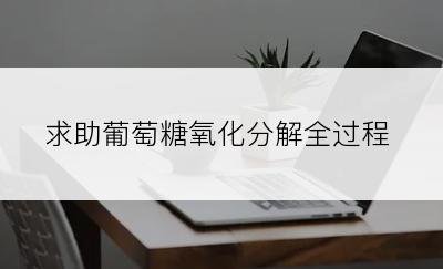 求助葡萄糖氧化分解全过程