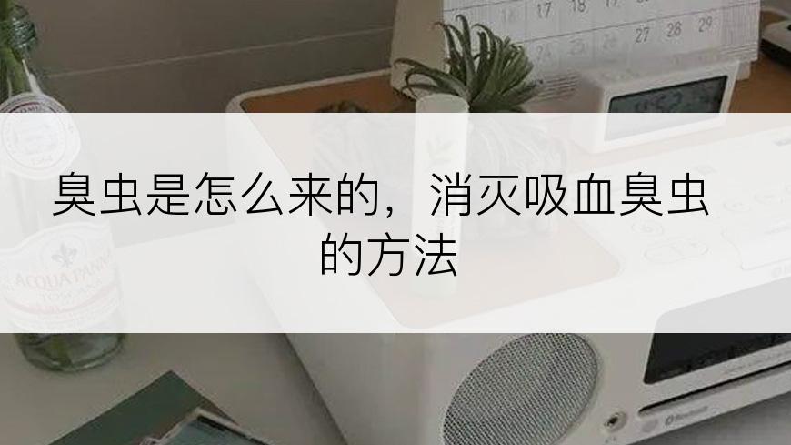 臭虫是怎么来的，消灭吸血臭虫的方法