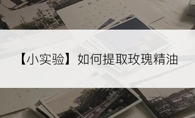 【小实验】如何提取玫瑰精油