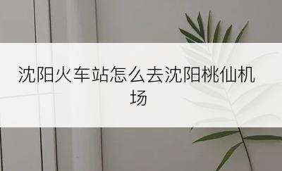 沈阳火车站怎么去沈阳桃仙机场