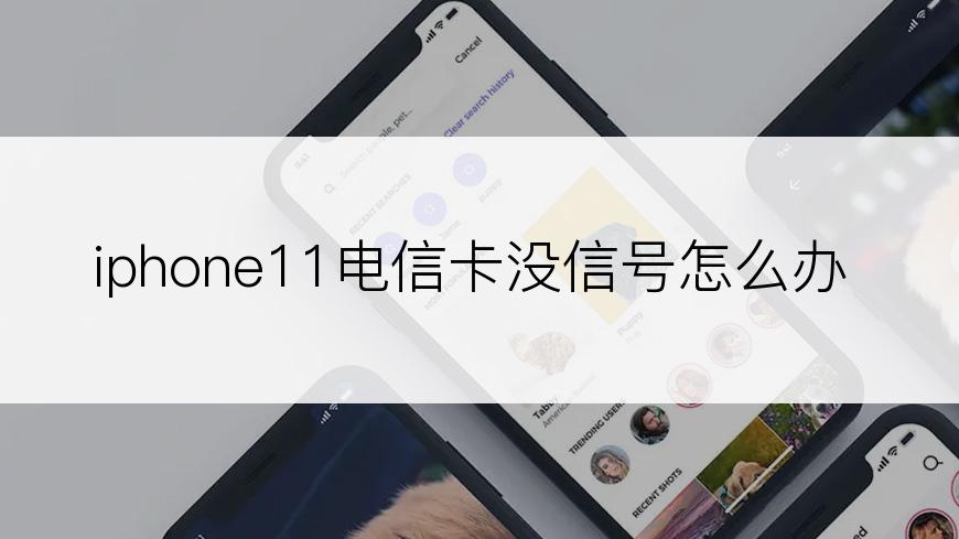 iphone11电信卡没信号怎么办