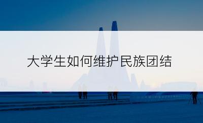 大学生如何维护民族团结