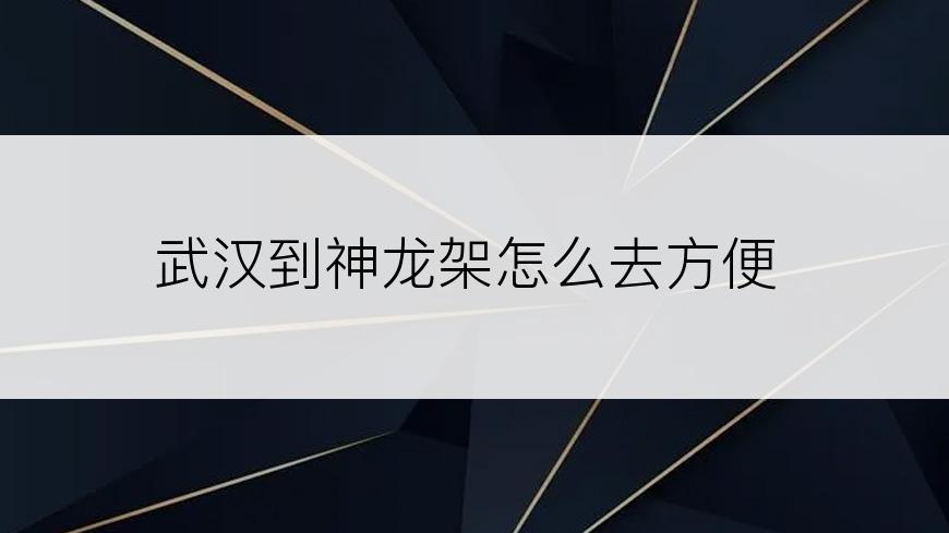 武汉到神龙架怎么去方便