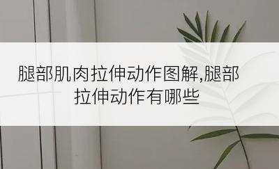 腿部肌肉拉伸动作图解,腿部拉伸动作有哪些