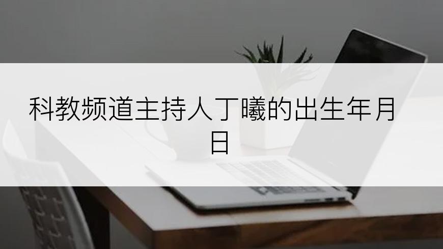 科教频道主持人丁曦的出生年月日