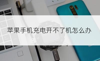 苹果手机充电开不了机怎么办